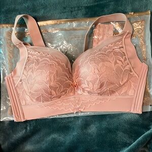 Elegant Lace Pink Bra
